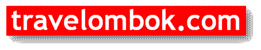 travelomboklogo.png